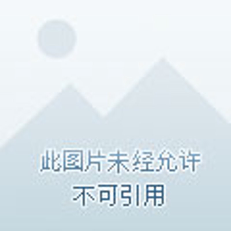 行业趋势与挑战：2013年的营销策略如何应对